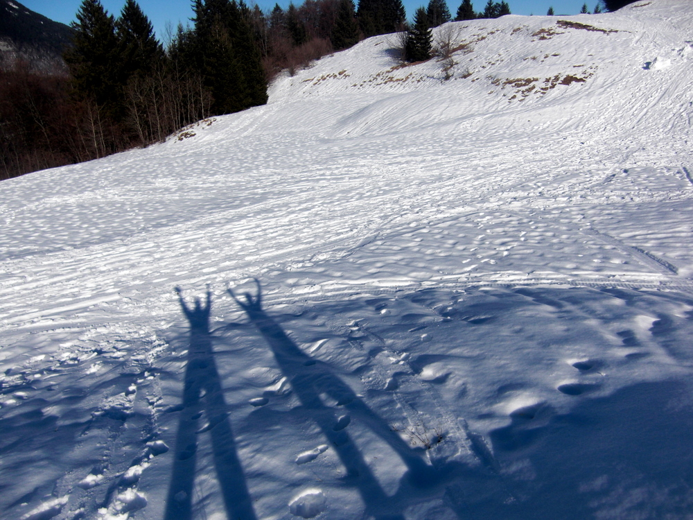 Olaf and Davide's shadows