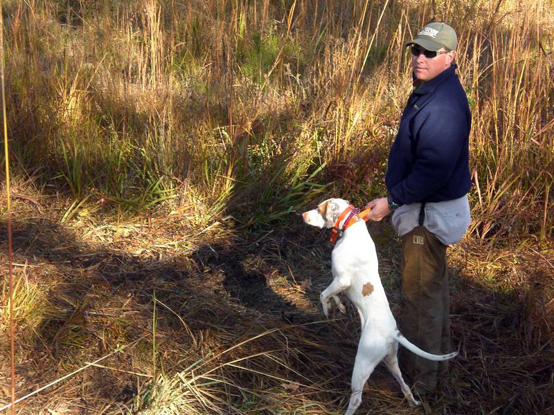 Cam Lenier Jr and the dog ready to find some quail