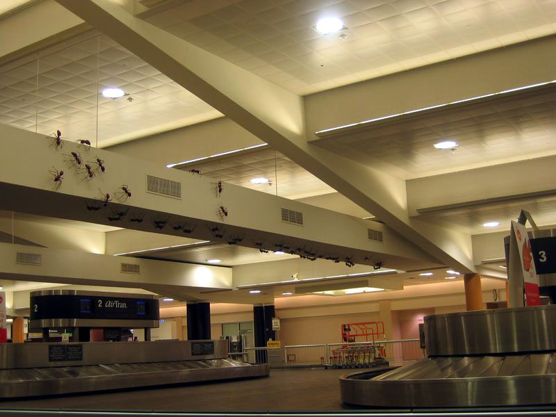 Atlanta airports, 3am