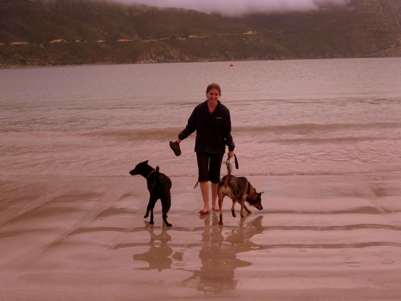 Lindsey tries the water with the dogs