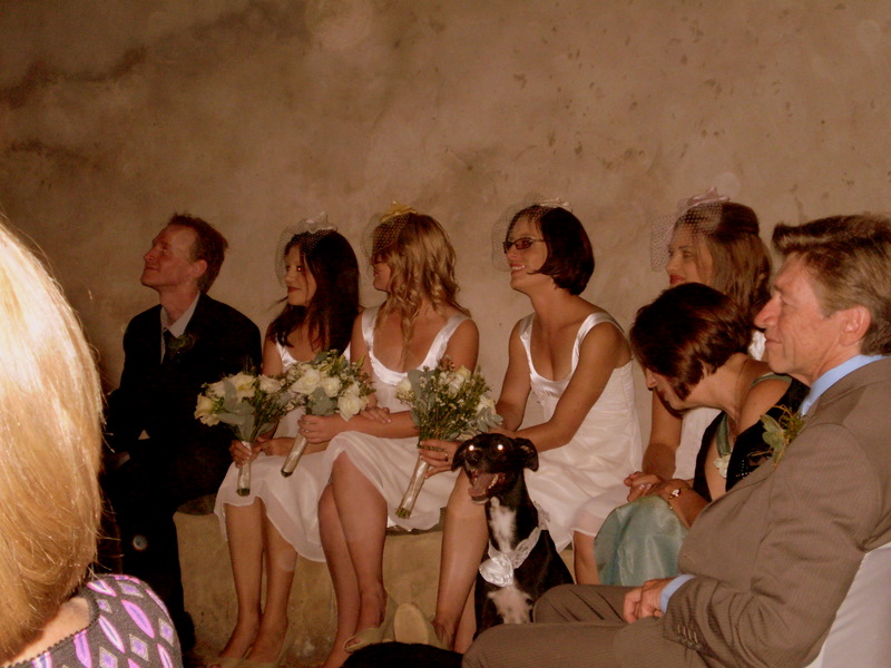 Andy's brother, Jill, ANdy's sister, Bronwyn and Lindsey. You can also see Jennifer and David, the bride's parents