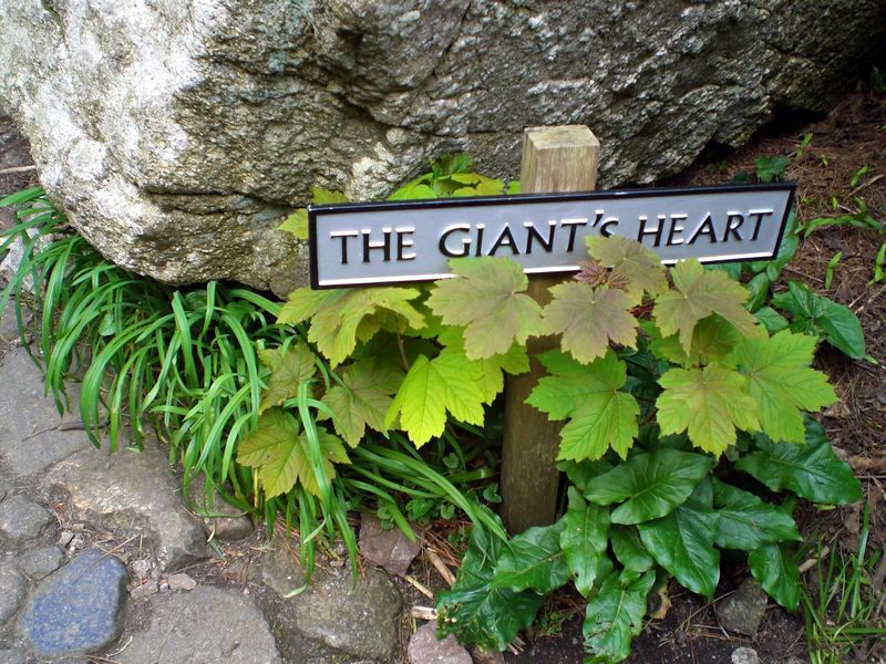 Giant's heart.