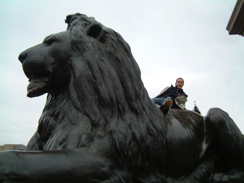Riding the Lion